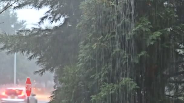 Uma chuva de verão muito forte formando riachos de água na estrada . — Vídeo de Stock