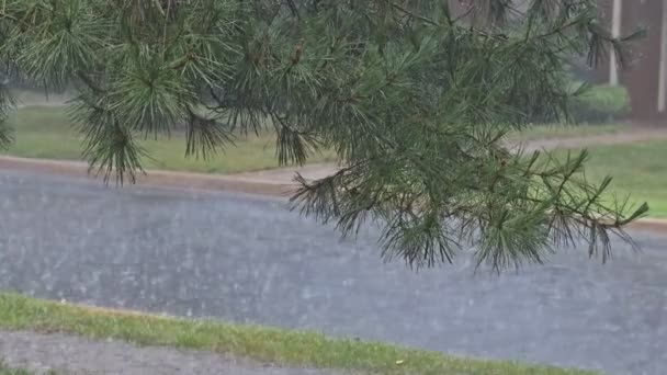 Gotas de agua de lluvia cayendo en charco sobre asfalto, inundando las inundaciones del camino debido a la fuerte lluvia en temporada de lluvias — Vídeos de Stock