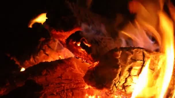 Şöminede yanan sıcak sıcak ateşin yakın plan çekimi.. — Stok video