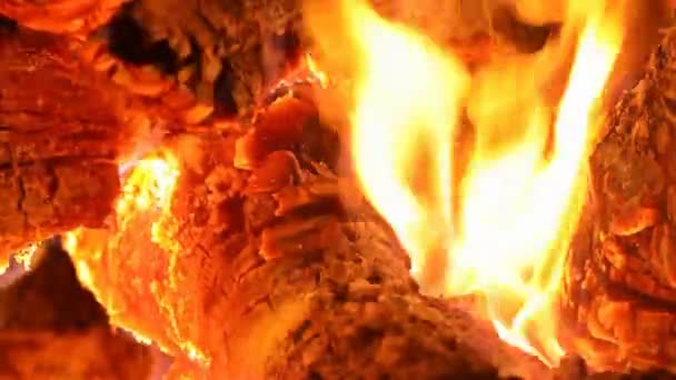 Close-up vreugdevuur vlammen van Camping Fire Burning brandhout. — Stockvideo