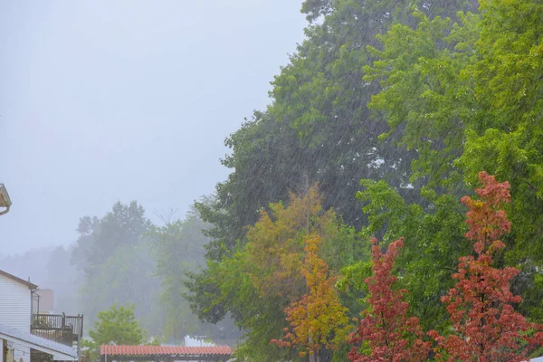 Chuva pesada sobre de árvores verdes paisagem no outono chuva gotas — Fotografia de Stock