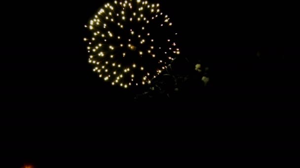 Abstrakte farbige Feuerwerk Hintergrund mit freiem Raum — Stockvideo