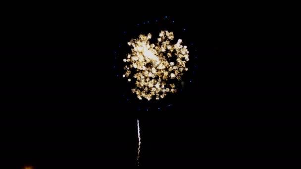 Színes tűzijáték és másolási hely az újévi ünneplésre, absztrakt ünnepi háttér — Stock videók