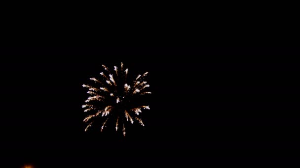 Όμορφα πολύχρωμα πυροτεχνήματα διακοπών το βράδυ με μεγαλοπρεπή μακρά έκθεση — Αρχείο Βίντεο