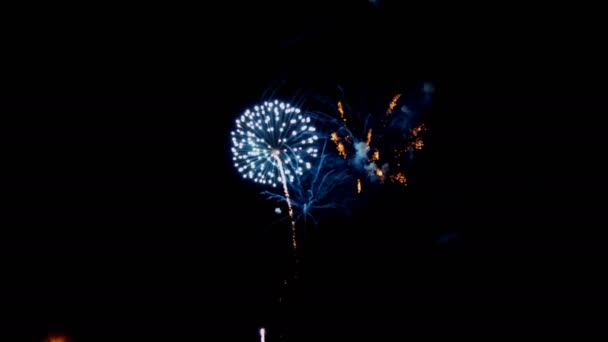 Fuegos artificiales nocturnos diferentes colores sobre un fondo negro . — Vídeos de Stock