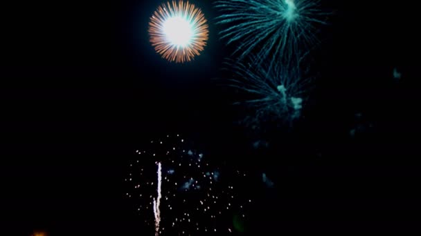 Spettacolo di fuochi d'artificio su fuochi d'artificio scintillanti scuri — Video Stock