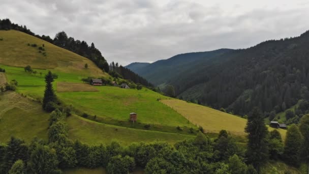 Voando sobre o pinhal verde, sobre as montanhas dos Cárpatos nuvens baixas com o verão — Vídeo de Stock