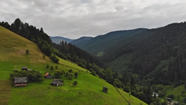 Aerial View Green Grass Summer Mountain In Mountains. View of Carpathians Mountains In Drone Aerial View — Stock Video