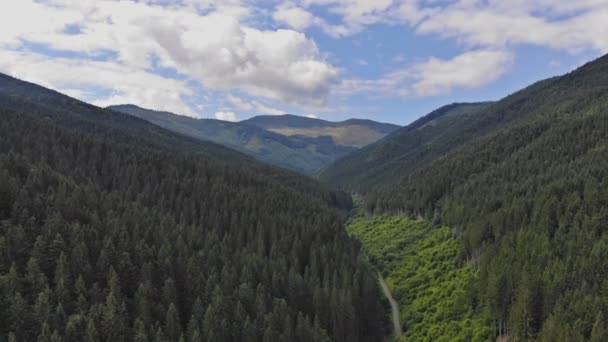 Drone Fly Above in The Clouds Over Mountains In Summer (en inglés). Montaña Panorama Cárpatos Montañas Prados . — Vídeo de stock