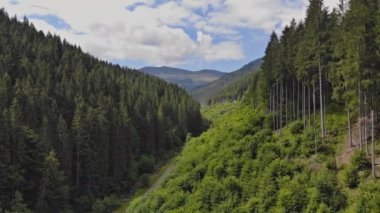 Karpatlar dağlarında drone havadan görünümü