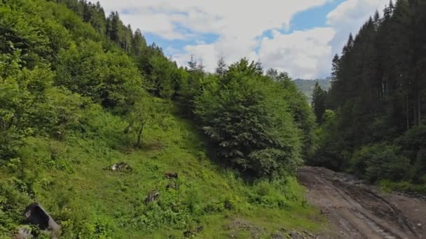 Camino de montaña en el bosque. Increíble lugar para visitar en Cárpatos en carretera de montaña . — Vídeos de Stock