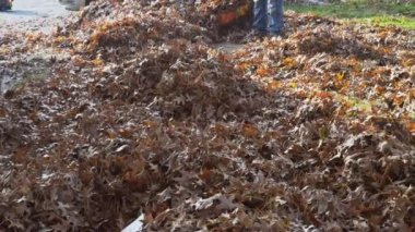 Üfleme düşük açı görünümü bir yaprak üfleyici düşmek taşımak için çim yaprakları bırakır