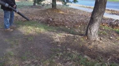 Rarkfall kaldırım ve süpürge üzerinde tırmık sonbahar yaprakları ile bırakır