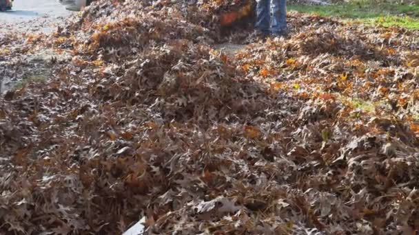 O sopro deixa uma visão de ângulo baixo um ventilador da folha para mover as folhas da queda fora do gramado — Vídeo de Stock