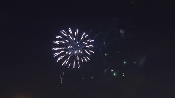 Hermoso gree púrpura azul rojo celebración fuegos artificiales ubicados a la izquierda sobre el cielo nocturno, Día de la Independencia, 4 de julio , — Vídeos de Stock