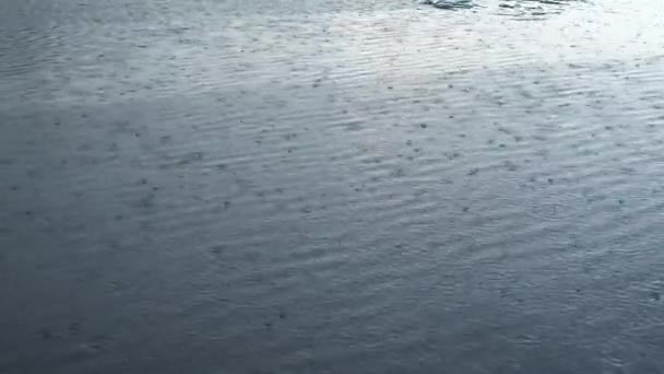 Es regnet heftig auf das Wasser. — Stockvideo