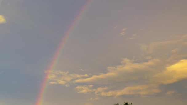 Cielo rosa arcobaleno — Video Stock