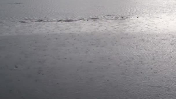 Важкий дощ продовжує заповнювати озера і річки, щоб переповнитися — стокове відео
