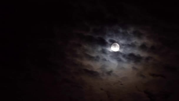 Ciel nuageux nocturne avec lune — Video