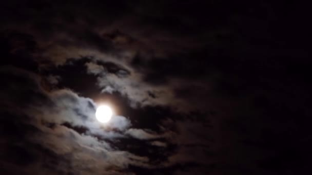 曇り夜の満月のリアルタイム ショット。生成されたコンピューターではなく. — ストック動画