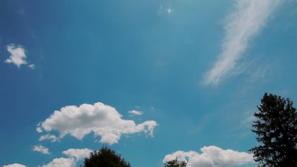 Witte wolken loopt over blauwe hemel — Stockvideo