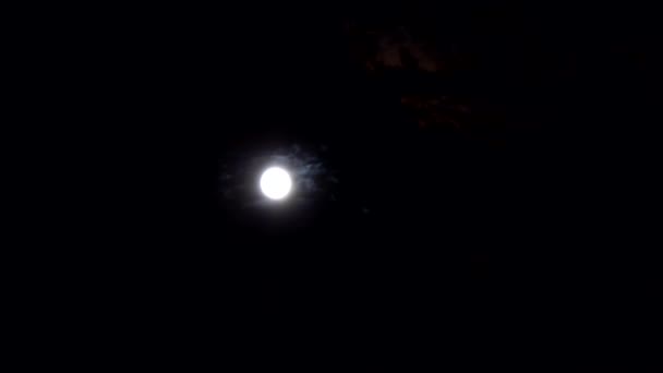 Nacht bewölkt Himmel mit Mond — Stockvideo