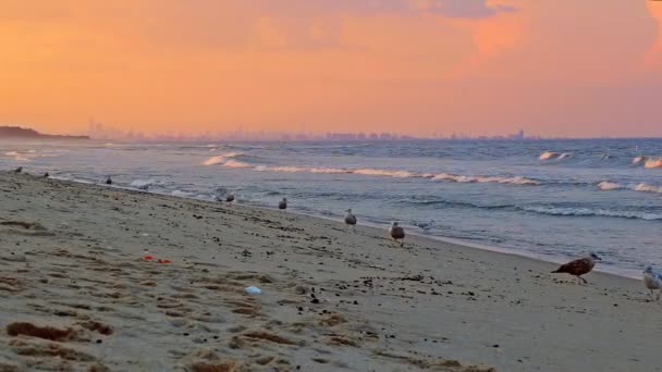 Belo pôr do sol sobre o mar com vista — Vídeo de Stock