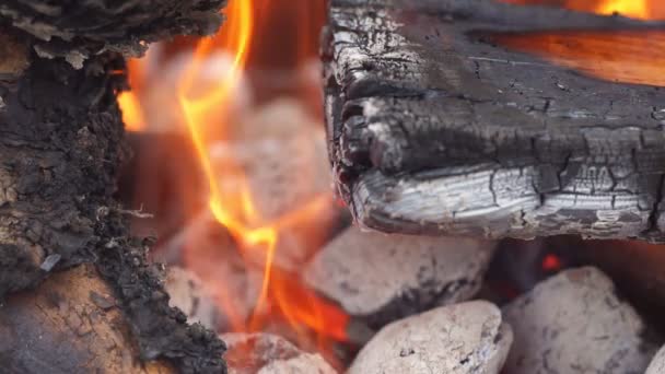 薪のバーベキュー キャンプファイヤーに暖かい火の炭スローモーションのクローズ アップ — ストック動画