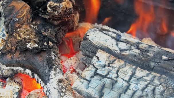 Fuoco al rallentatore con caduta di legno — Video Stock