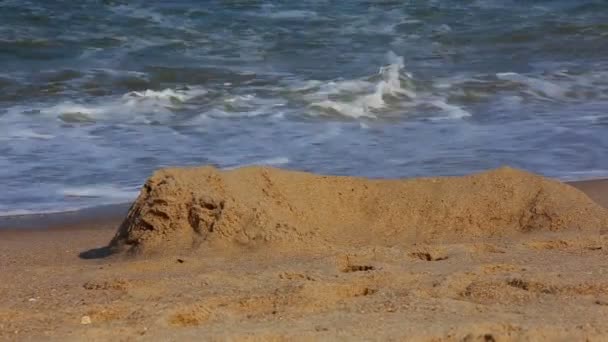 Playa Día soleado Vacío Azul Mar Verano Cielo Agua Océano — Vídeo de stock