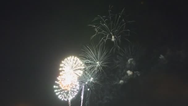 Fuochi d'artificio colorati. Astratto movimento colori dorati sfondo, luci brillanti, scintille e fuochi d'artificio — Video Stock