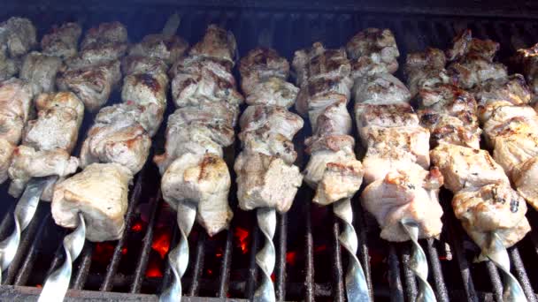 Carne assada no fogo churrasco kebabs na grelha — Vídeo de Stock