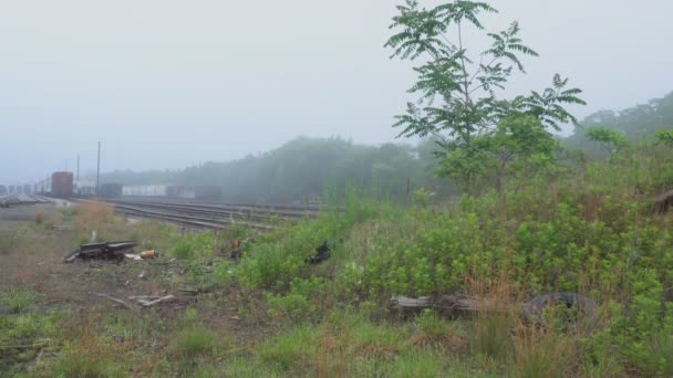 Délelőtti köd a vasútállomás mellett — Stock videók