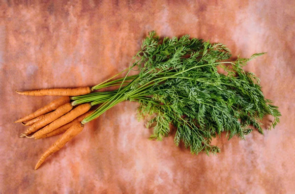 Ein Bund neuer Karotten mit grünem Blatt. — Stockfoto