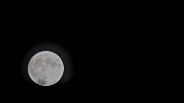 Volle maan op zwarte achtergrond die details op het oppervlak ziet. Maanbaan planeet Aarde. — Stockvideo