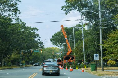 Bir fırtına budama ağaçları sonra parkta düşmüş ağaç, dalları kesmek için bir ağaç oduncu miktarı