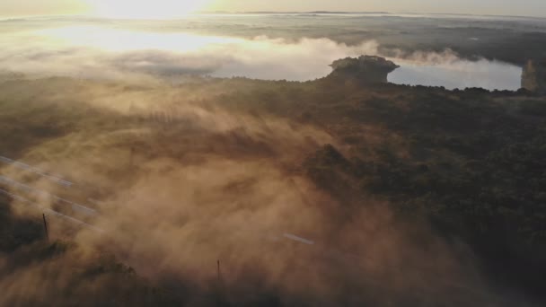 木の劇的なカラフルな風景を通して太陽光の太陽の光と幻想的な霧の湖. — ストック動画