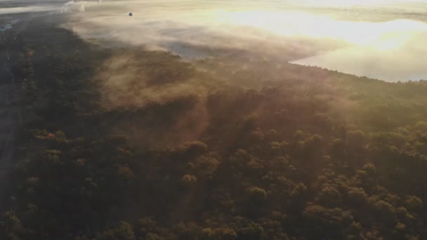 Mist landschap zonsopgang verbazingwekkende ochtend mist — Stockvideo