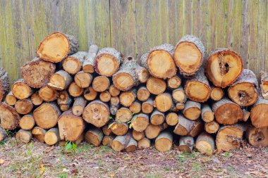 arka planda yığılmış odun kesmek
