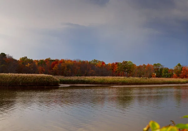 Outono colorido vista de água da natureza pitoresca pôr do sol com rio e árvores amareladas no. paisagem. Filtro macio aplicado . — Fotografia de Stock