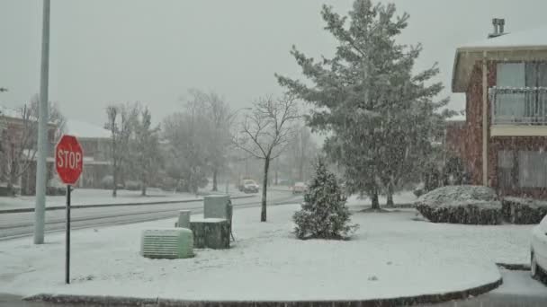 NY EUA 13 de janeiro de 2019: neve de inverno coberta em uma área residencial durante uma enorme tempestade de neve na área de sono — Vídeo de Stock