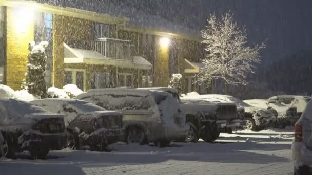 NY EUA 13 de janeiro de 2019: Muitos flocos de neve pequenos caem contra a luz de uma lâmpada de rua, iluminação ao ar livre à noite — Vídeo de Stock