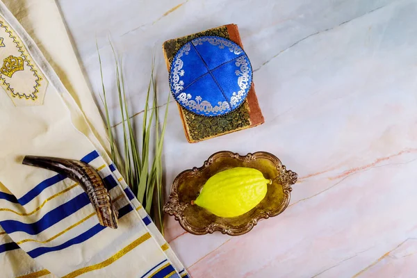 Єврейське ритуальне свято Суккота в євангельському релігійному символі Etrog, lulav, hadas, arava tallit mying book kippah and shofar — стокове фото