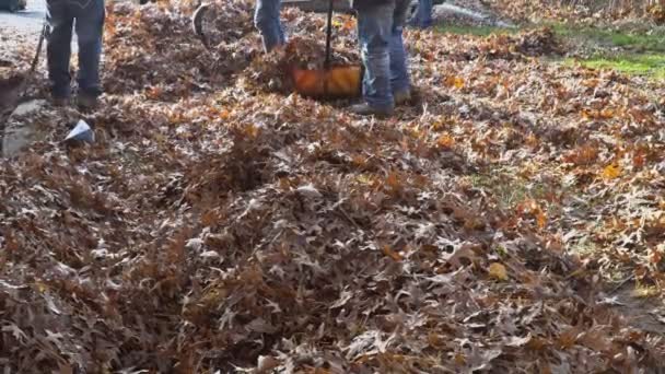 Blazen verlaat een laag hoek aanzicht een bladblazer om de herfst bladeren van het gazon te verplaatsen — Stockvideo