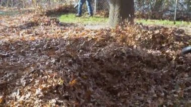 Ağır bir yaprak üfleyici çalıştıran adam: yaprakları