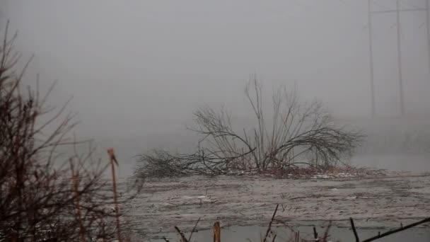 Chute de neige Lac Neige d'arbres en hiver rivière — Video