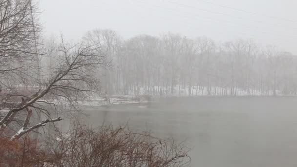 Árvores ramos na margem do lago no vento, fumaça na água , — Vídeo de Stock