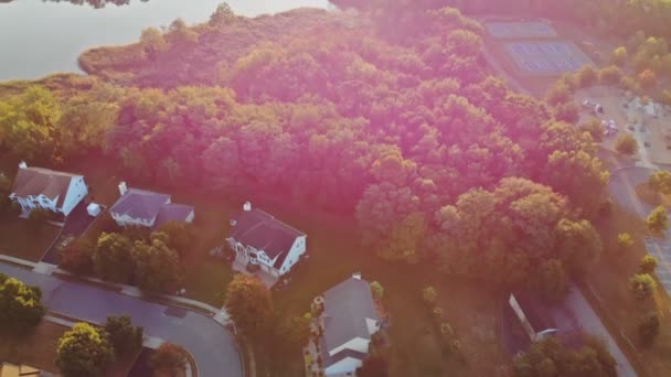 River seen from the air, Beautiful garden or park with trees — Stock Video