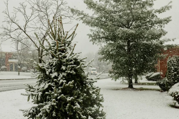 Invierno estacional cubierto de nieve árboles de la calle y casas EE.UU. y Canadá — Foto de Stock