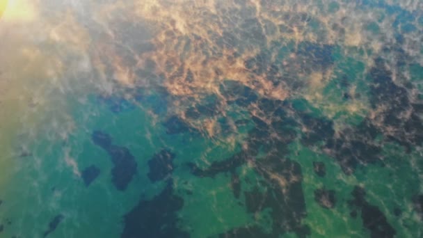 Красивое туманное идиллическое озеро с туманной осенью — стоковое видео